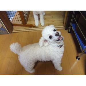 遊ぼうよ～！！