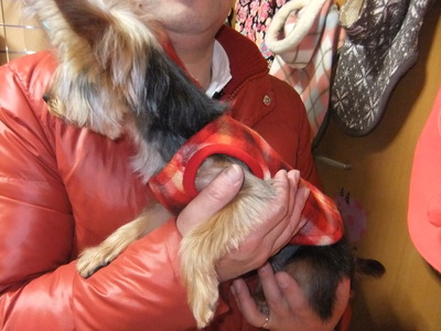 ララちゃんの成長\(^o^)/