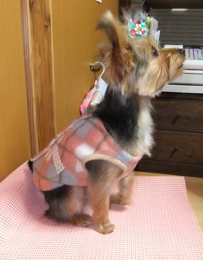 ララちゃんの成長\(^o^)/