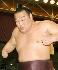 高見盛はやっぱり好きだわ