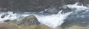 バッタバタの陶器市・展覧会・温泉巡り