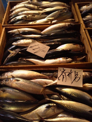 今朝の長崎魚市
