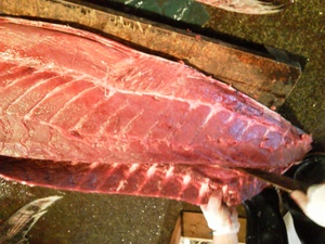 マグロの解体ショ~