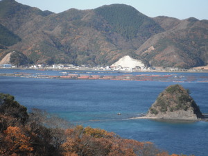 対馬　マグロ養殖