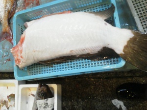 今日の長崎魚市