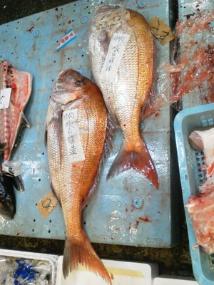 今日の長崎魚市