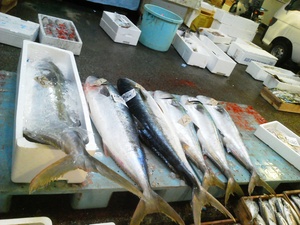 長崎魚市 ヒラス