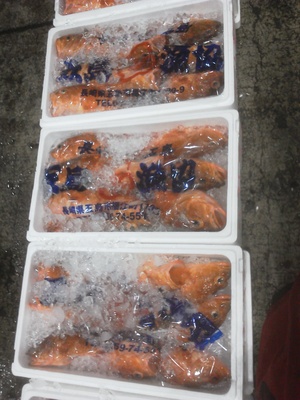 長崎魚市