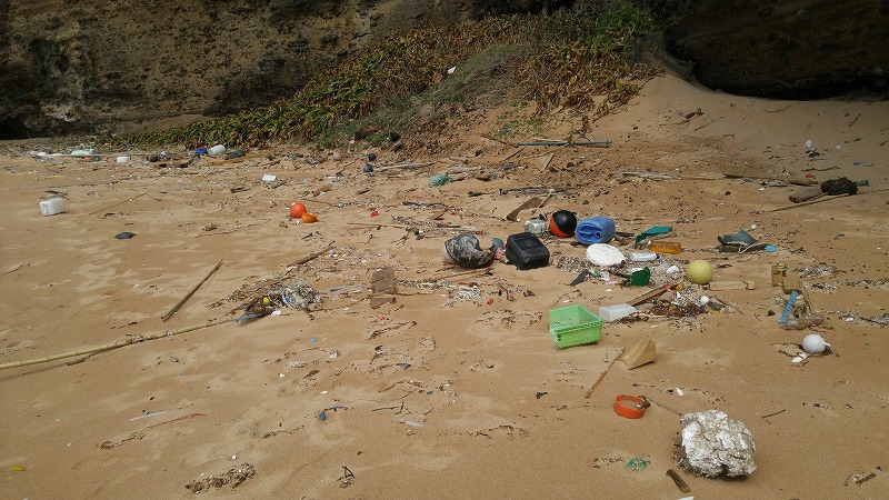 休日は海岸清掃で海辺も気持ちもすっきり！
