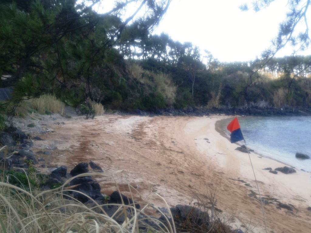 今年最初の海岸清掃で気持ちもスッキリ！