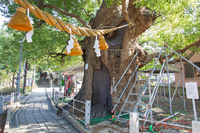 御朱印、長崎市北部の神社