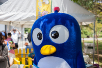 長崎vs愛媛 ホーム 2015 J2
