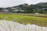 唐比ハス園、唐比温泉、唐比海岸 2016