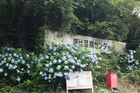 唐比ハス園、唐比温泉、唐比海岸 2016
