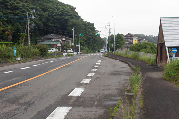 唐比ハス園、唐比温泉、唐比海岸 2016 唐比ハス園、唐比温泉、唐比海岸 2016
