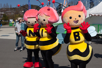 長崎vs千葉 ホーム 2015 J2