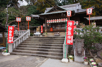 初詣、勝負の年の長崎三社参り