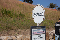 あぐりの丘 コスモス 2015