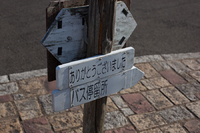 あぐりの丘 コスモス 2015