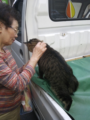 長崎猫 市内にゃんこ其の118