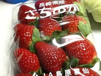 初イチゴ 長崎県雲仙市の「さちのか」美味しい。